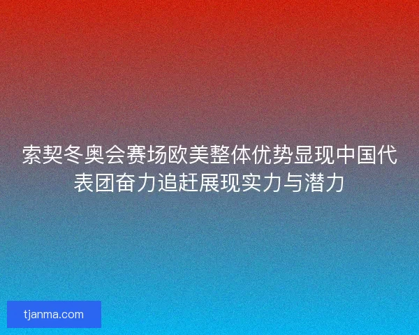 索契冬奥会赛场欧美整体优势显现中国代表团奋力追赶展现实力与潜力