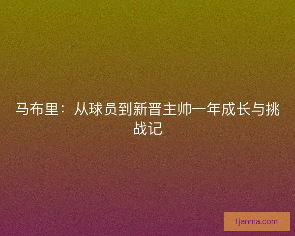 马布里：从球员到新晋主帅一年成长与挑战记