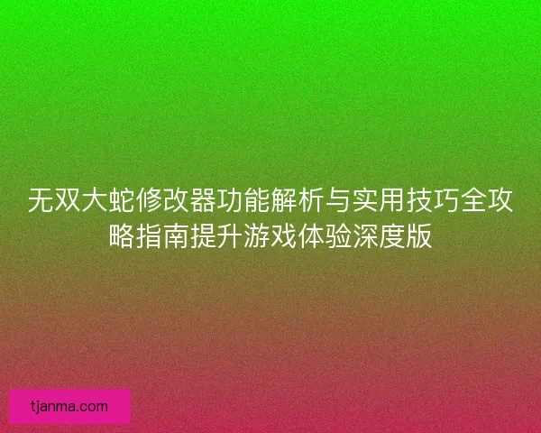 无双大蛇修改器功能解析与实用技巧全攻略指南提升游戏体验深度版