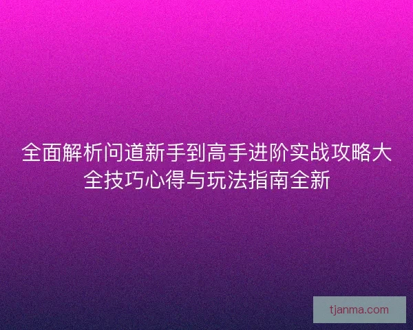 全面解析问道新手到高手进阶实战攻略大全技巧心得与玩法指南全新